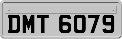 DMT6079