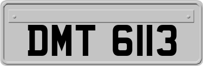 DMT6113
