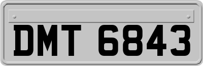 DMT6843