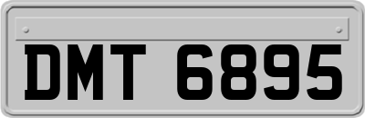 DMT6895