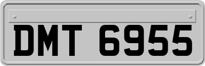 DMT6955