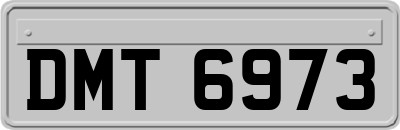DMT6973
