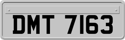 DMT7163