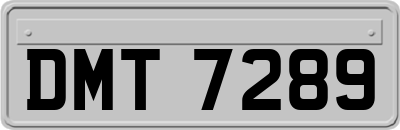 DMT7289