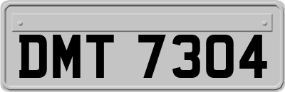 DMT7304