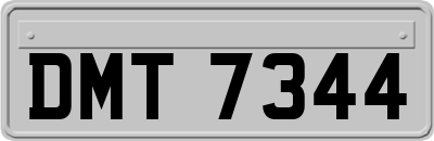 DMT7344