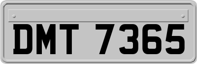 DMT7365