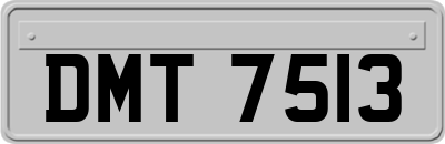 DMT7513