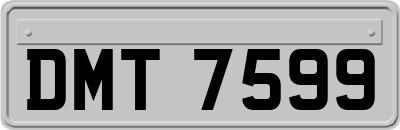 DMT7599