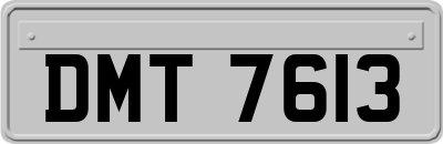 DMT7613