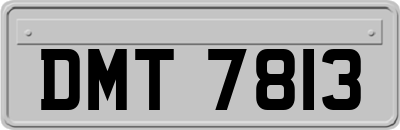 DMT7813