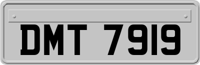 DMT7919