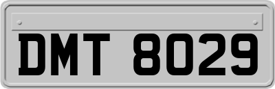 DMT8029