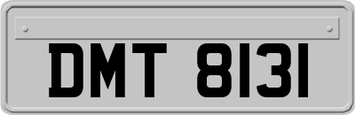 DMT8131