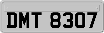 DMT8307