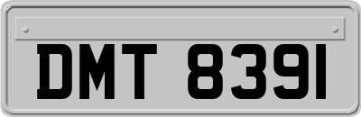 DMT8391