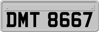 DMT8667