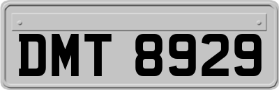 DMT8929