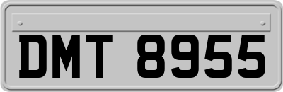 DMT8955
