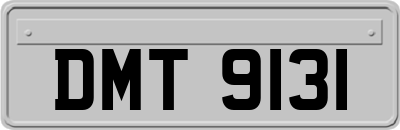DMT9131