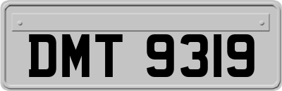 DMT9319