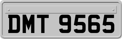 DMT9565