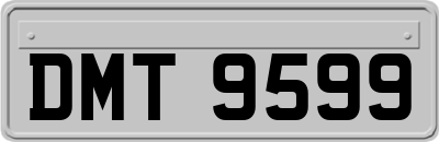 DMT9599