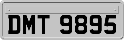 DMT9895