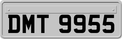 DMT9955