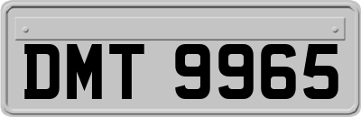 DMT9965
