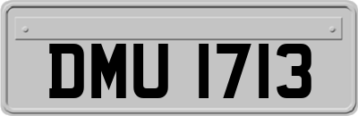 DMU1713