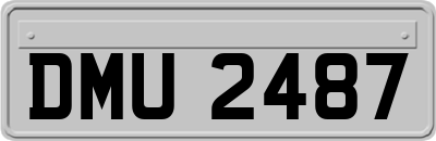 DMU2487