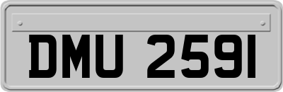 DMU2591