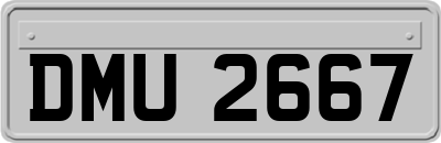 DMU2667