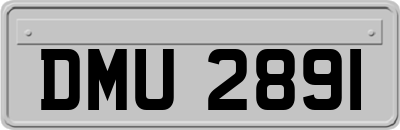DMU2891