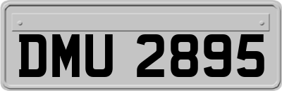 DMU2895