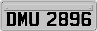 DMU2896