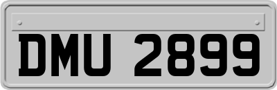 DMU2899