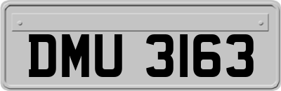 DMU3163