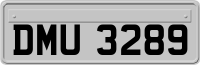 DMU3289