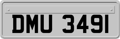 DMU3491