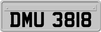 DMU3818