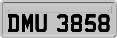 DMU3858