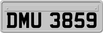 DMU3859