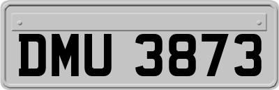 DMU3873