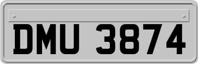 DMU3874