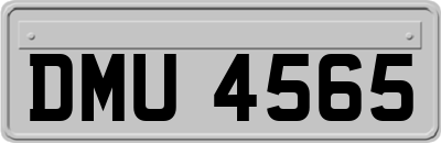 DMU4565