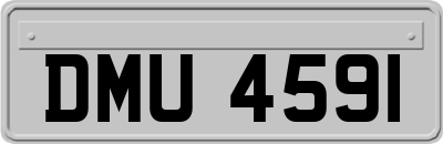 DMU4591