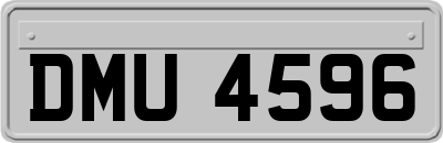 DMU4596