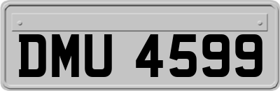 DMU4599
